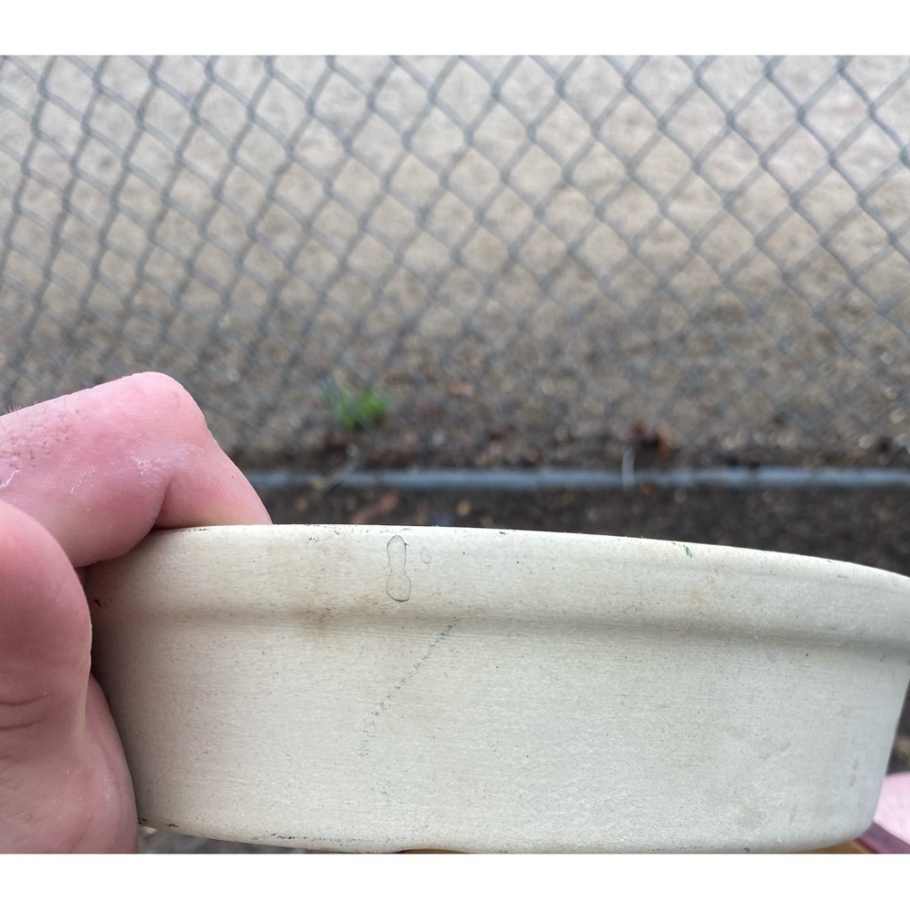 The Pampered Chef Cream Bakeware Dish